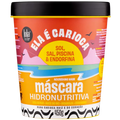LOLA ELA E CARIOCA MASCARA HIDRONUTRITIVA 450G
