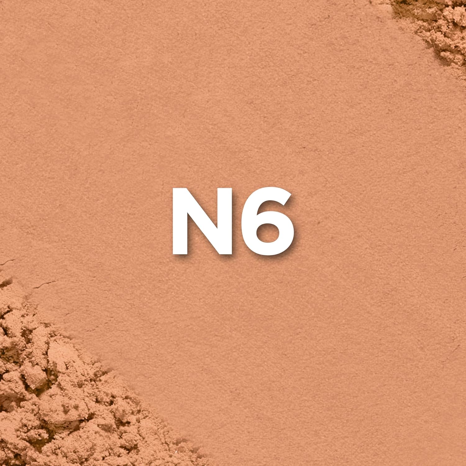 LOREAL PARIS TRUE MATCH POWDER N6