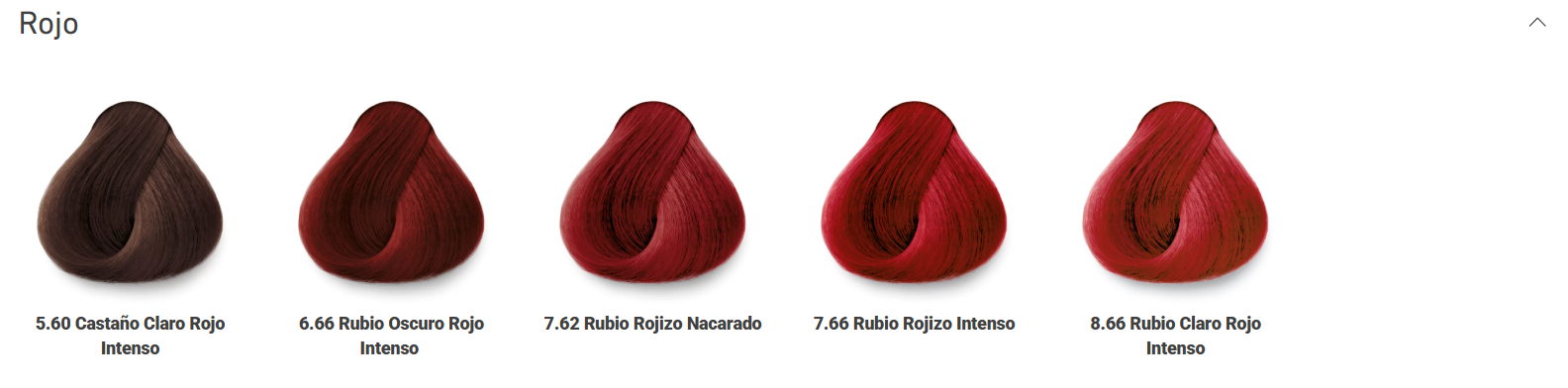 TEC ITALY DESIGNER COLOR TINTES 90ML
