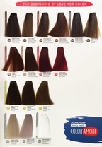 ALFAPARF COLOR AMORE TINTES 90ML + PEROXIDO 20VOL 135ML